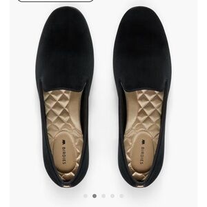 Birdies- The Starling.